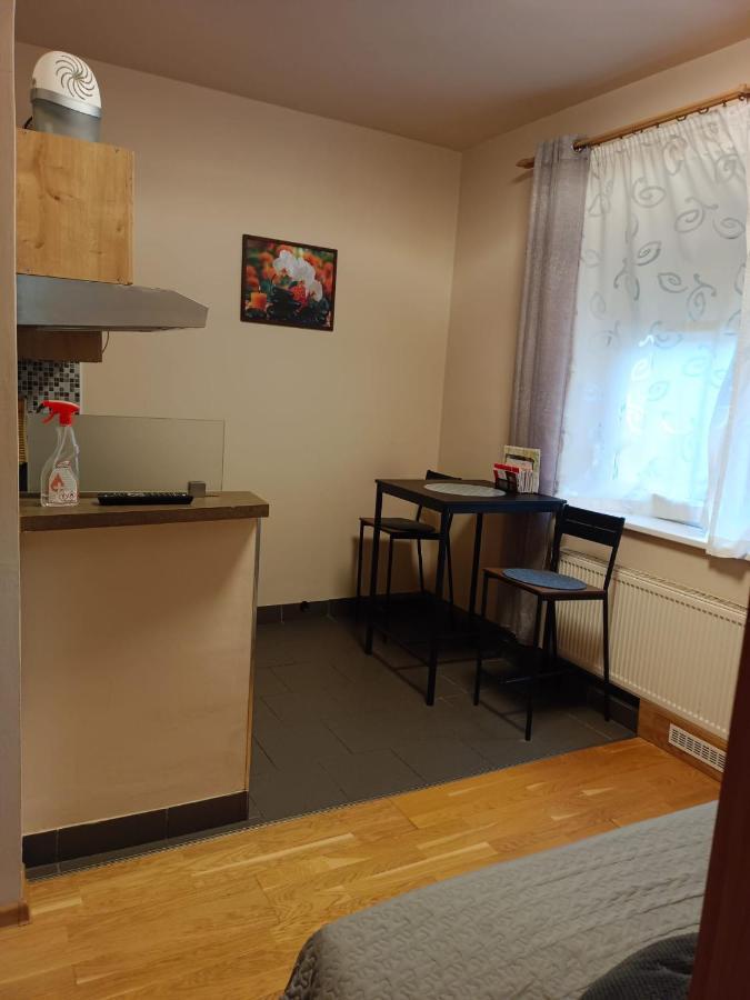 Msprivat Hotel Karlovy Vary Kültér fotó