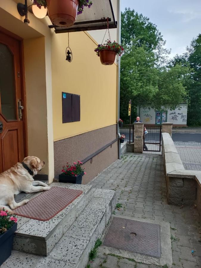 Msprivat Hotel Karlovy Vary Kültér fotó